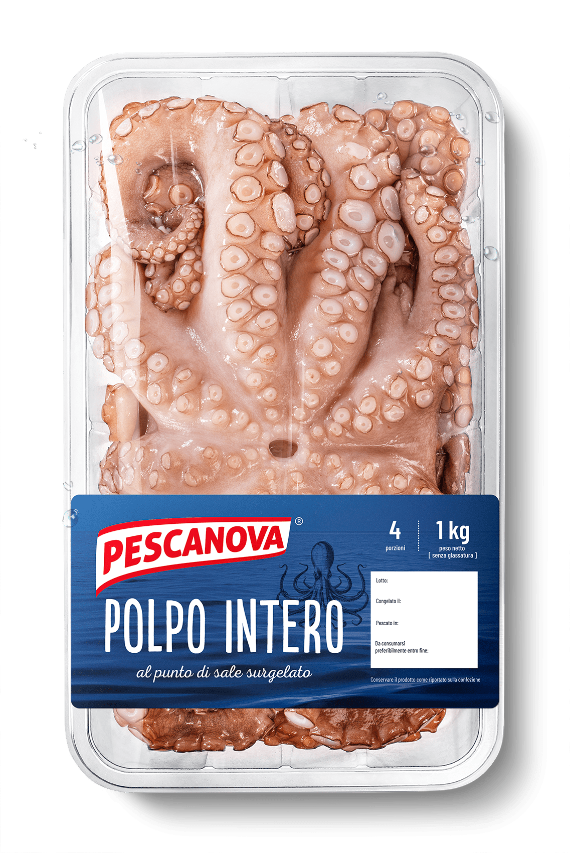 Polpo intero 1kg